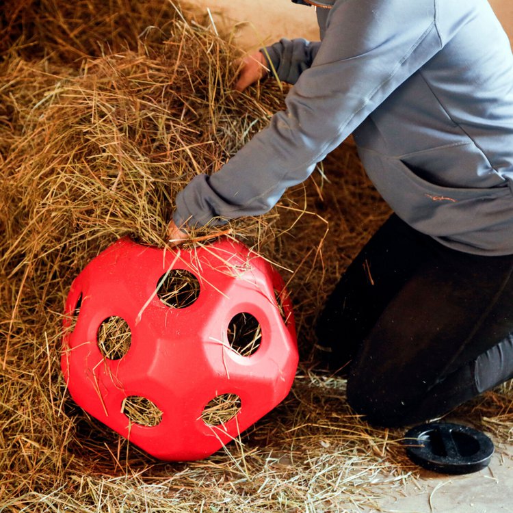 HeuBoy - Futterspielball für Pferde & Kälber, blau