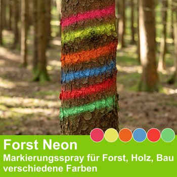 Markierungsspray Forst Neon, 500ml - verschiedene Farben