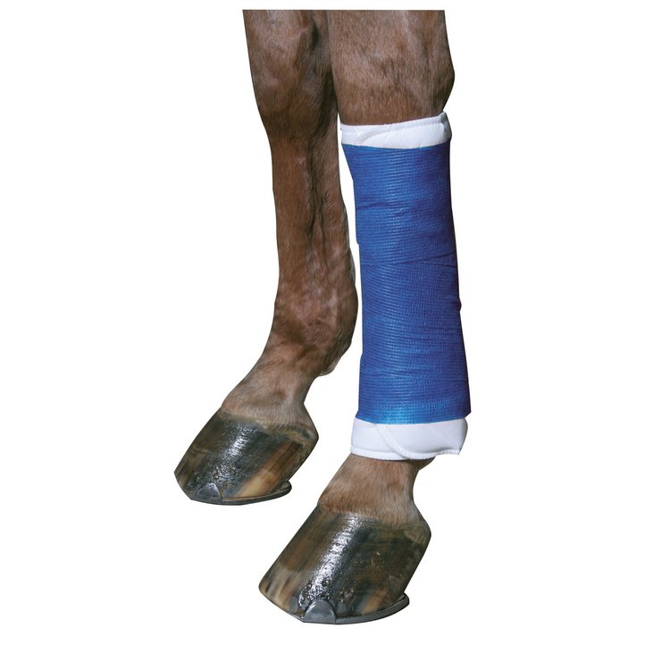 EquiLastic selbsthaftende Bandage, 10 cm blau