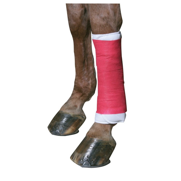 EquiLastic selbsthaftende Bandage, 10 cm rot