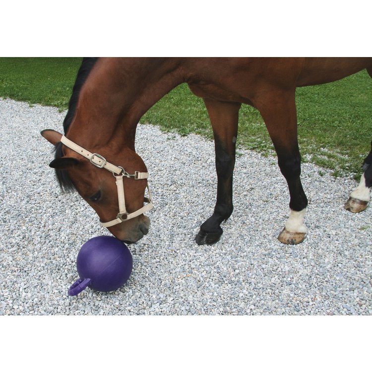 KERBL Pferdespielball - Spielball für Pferde, lila mit Minzgeschmack