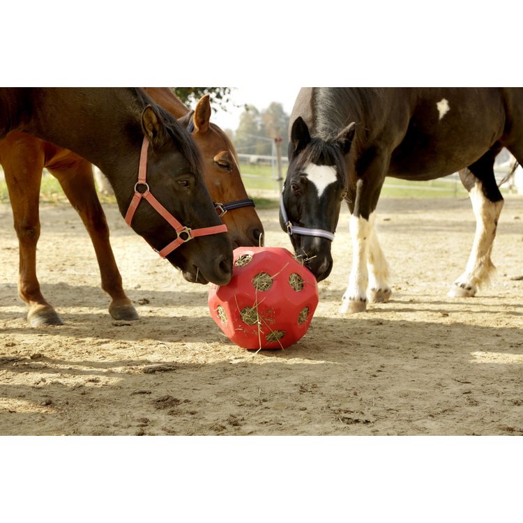 HeuBoy - Futterspielball für Pferde & Kälber, blau
