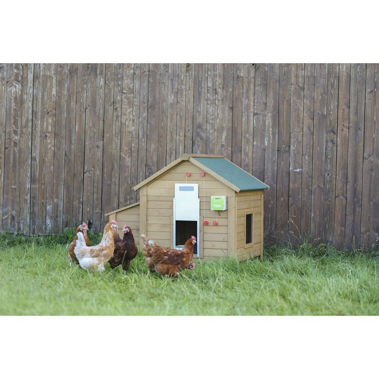 Automatische Hühnerklappe Hühnertür SET mit Antrieb und Schiebetür 220 x 330 mm