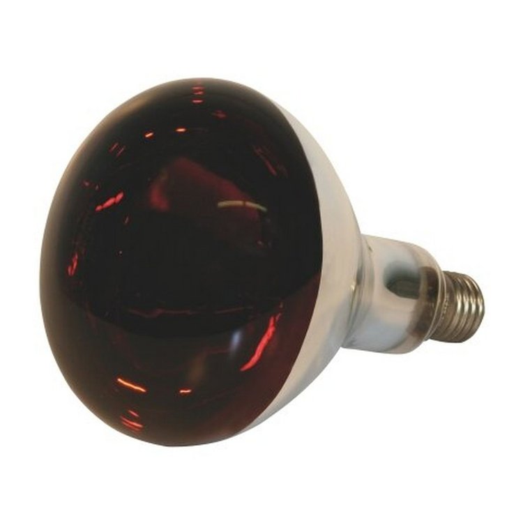 Infrarotlampe 250W Hartglas, rot