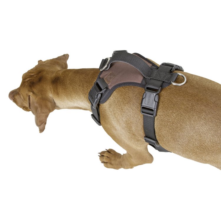 Hundegeschirr Pulsive, braun, 62-85cm, 72-96cm
