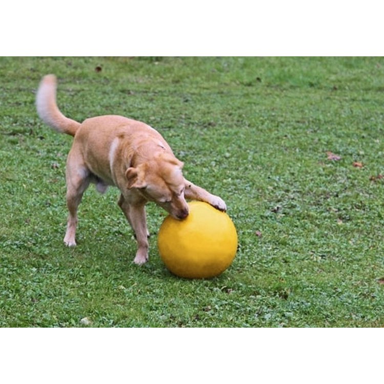 Hundespielball / Treibball Ø 30 cm, gelb, aus Kunststoff