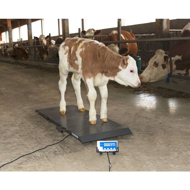 KERBL Tierwaage PS1000 für Kälber und Rinder bis 500kg