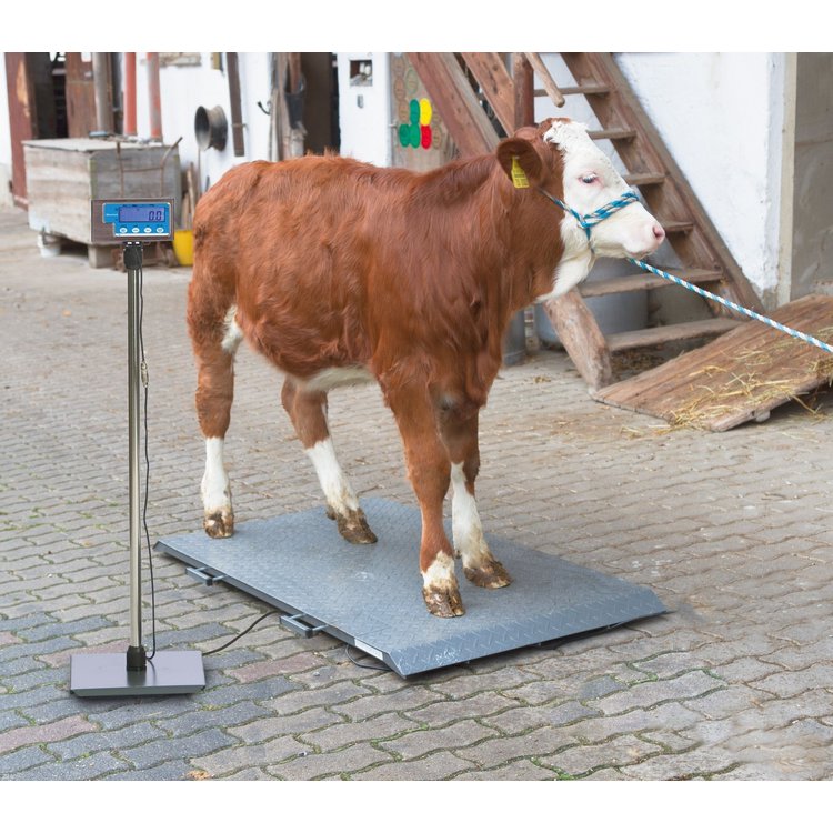 KERBL Tierwaage PS3000 für Rinder und Großpferde bis 1500 kg