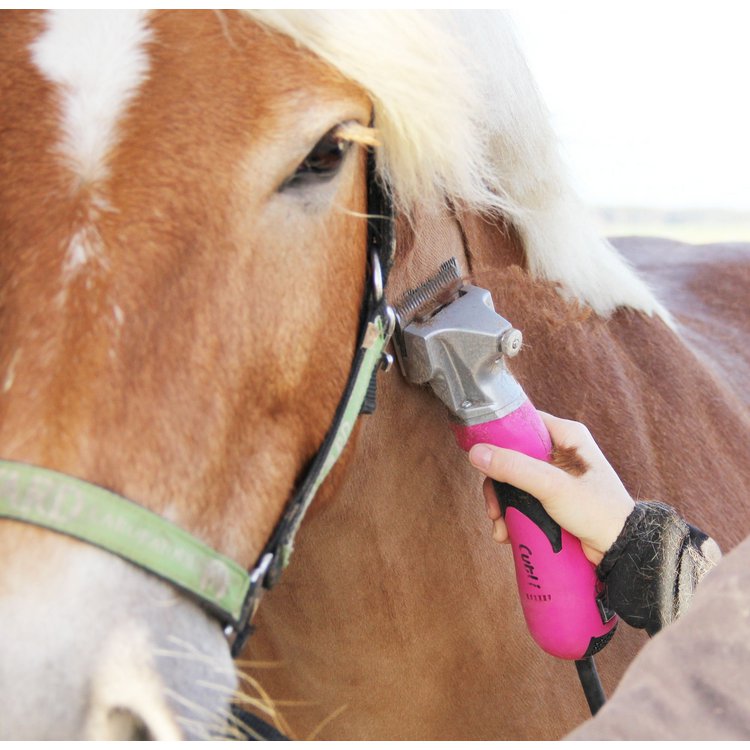 LISTER / LISCOP horse clipper Cutli pink with shearing blade type 102