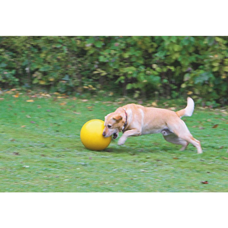 KERBL Hundespielball / Treibball für Hunde / Ferkel, 30 cm Durchmesser