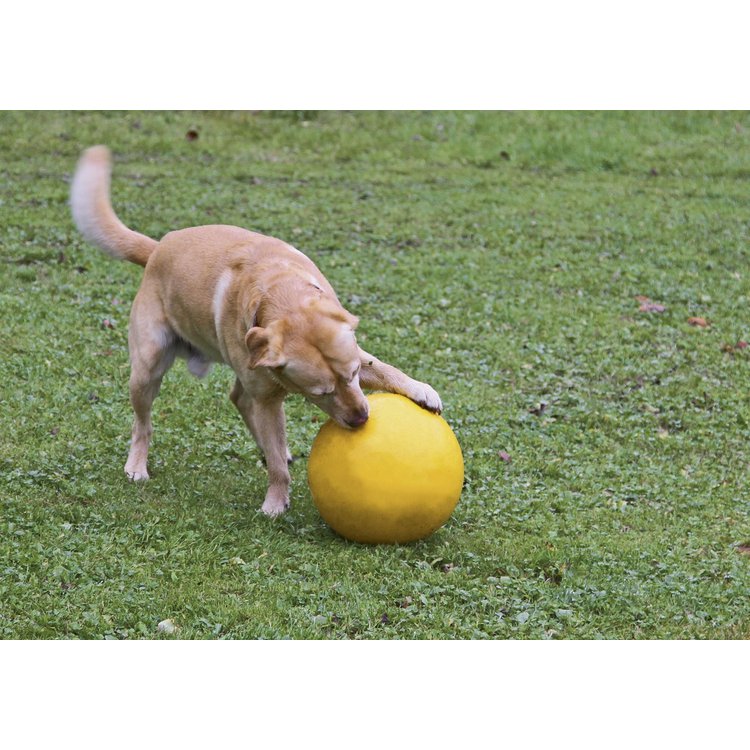 KERBL Hundespielball / Treibball für Hunde / Ferkel, 30 cm Durchmesser