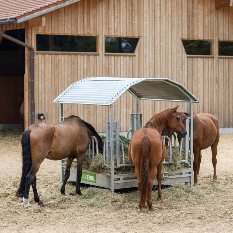 Viereckraufe für Rinder und Pferde mit Palisadenfressgitter, 2,12 x 2,12 m