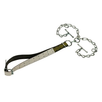 Jungbullen-Anbindung komplett mit Halsband 150 x 5 cm