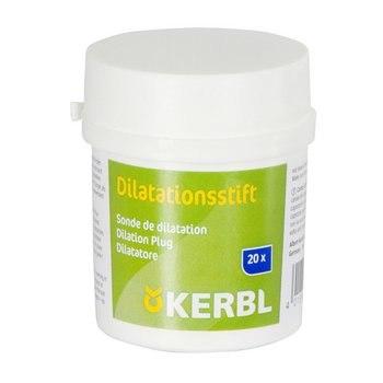 Dilatationsstift