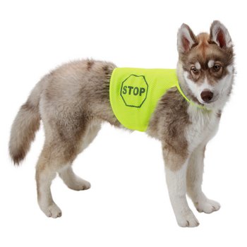 Sicherheitsweste für Hunde, Rückenlänge 25 cm, 40-50 cm
